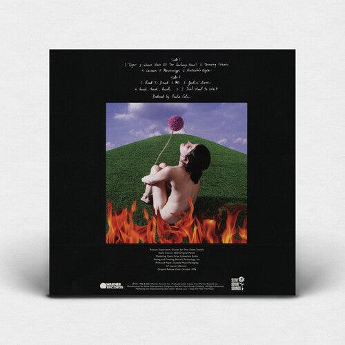 Paula Cole- This Fire (Indie Exclusive Blue Vinyl) - LP
