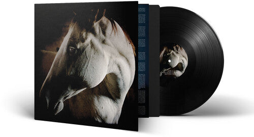 Brother Dege: How To Kill A Horse [ LP ]