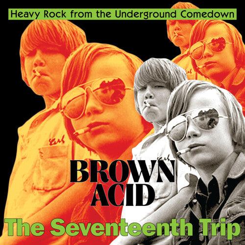 Various Artists- Brown Acid - The Seventeenth Trip (Various Artists) - LP