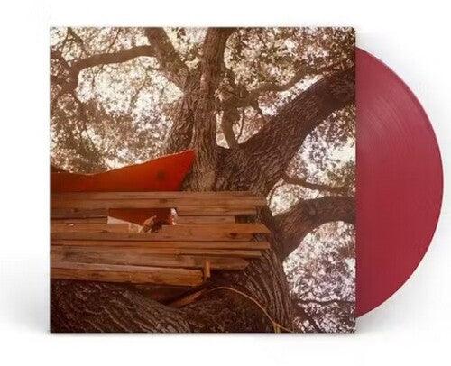 Backseat Lovers- Waiting To Spill (Anniversary Edition) - LP