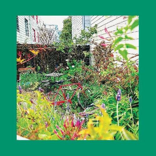 Unwishing Well - LP