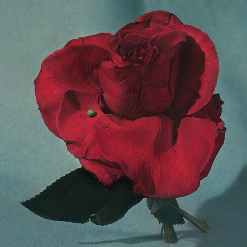 METZ- Up on Gravity Hill (Loser Edition) - LP