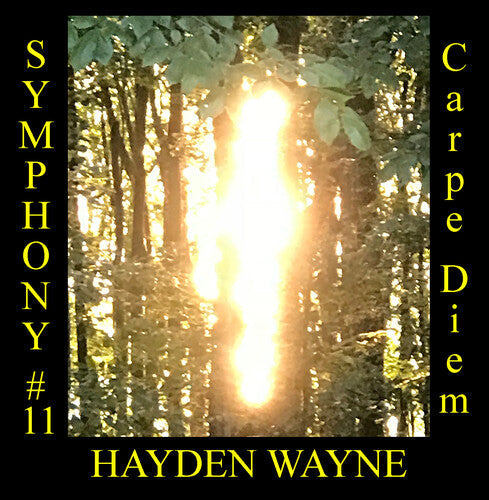 Hayden Wayne: Symphony #11: Carpe Diem  [ CD ]