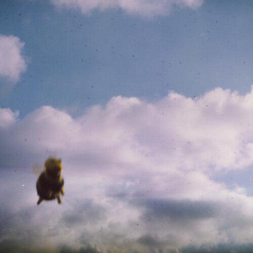 Pond- Stung! (Indie Exclusive Vinyl) - LP