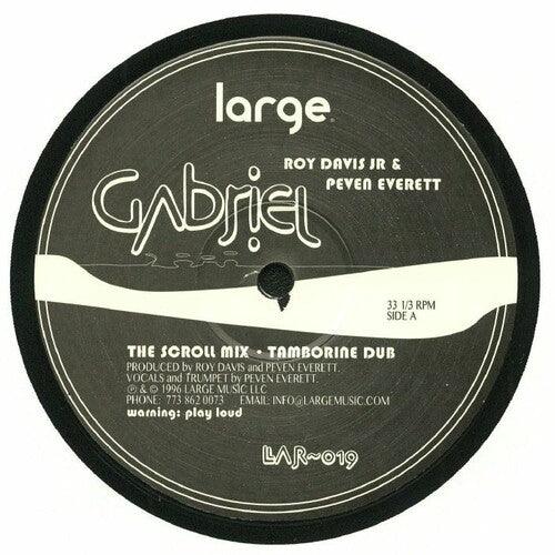 Roy Davis Jr- Gabriel - LP