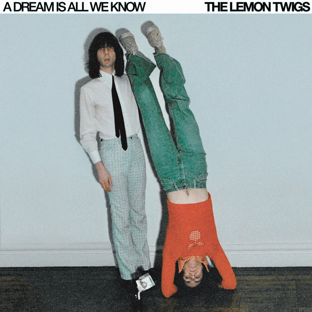 Lemon Twigs- Dream Is All We Know - LP