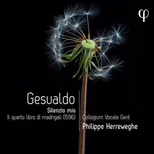 Melodie Ruvio: Gesualdo: Silenzio mio - Il quarto libro di madrigali  [ CD ]