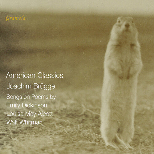 Veronika Loy: Brugge: American Classics - Songs on Poems by Emily Dickinson, Louisa May Alcott & Walt Whitman  [ CD ]