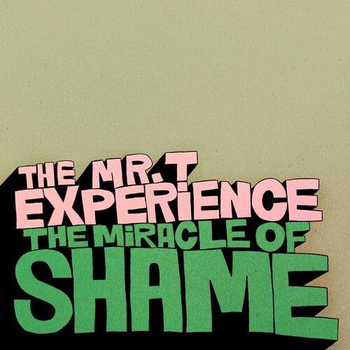 Mr T Experience- Miracle Of Shame - LP