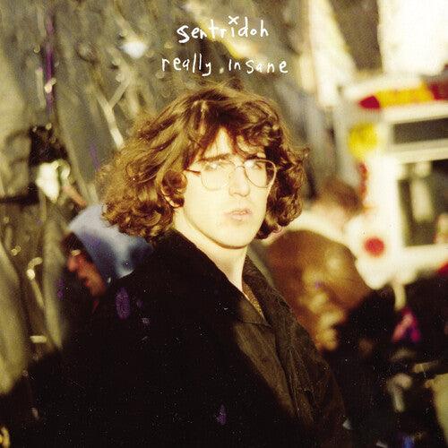 Sentridoh- Really Insane : A Lou Barlow Compendium - LP