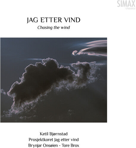 Ketil Bjornstad: Bjornstad: Chasing the Wind  [ CD ]