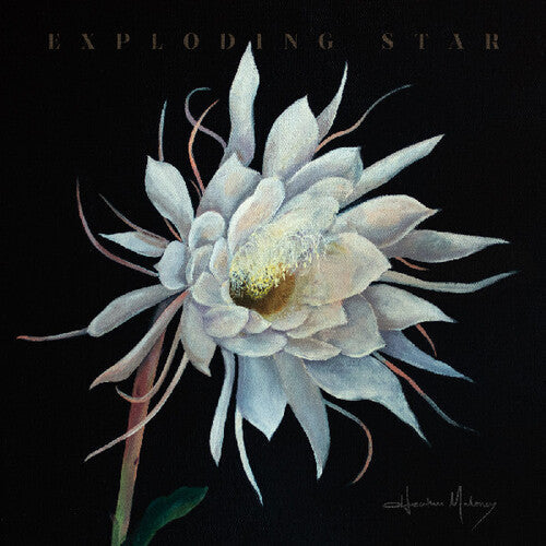 Heather Maloney- Exploding Star - LP