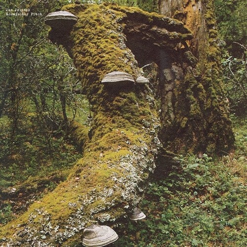 Jan Jelinek- Kosmischer Pitch - LP