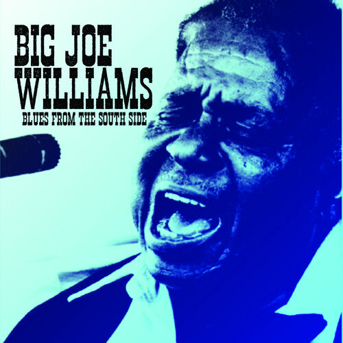 Big Joe Williams: Blues from the South Side  [ CD ]
