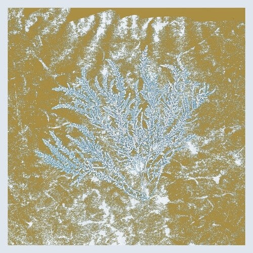Huerco S: For Those Of You Who Have Never (And Also Those Who Have) [ LP ]