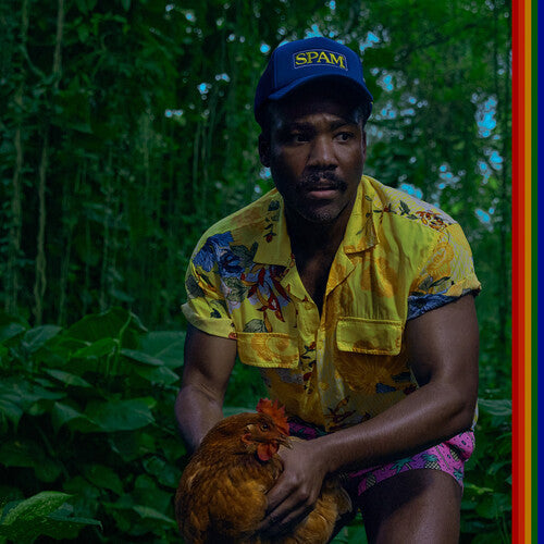 Childish Gambino: Bando Stone And The New World - VINYL