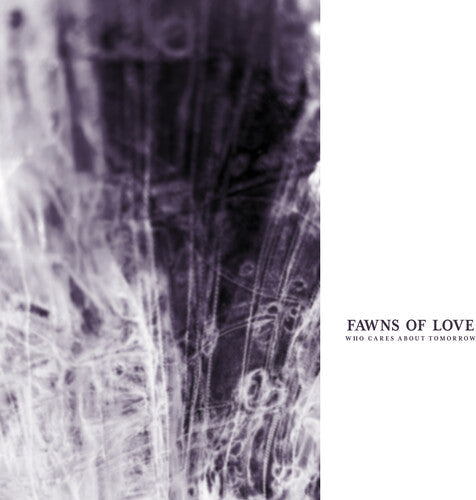 Fawns of Love- Who Cares About Tomorrow - LP