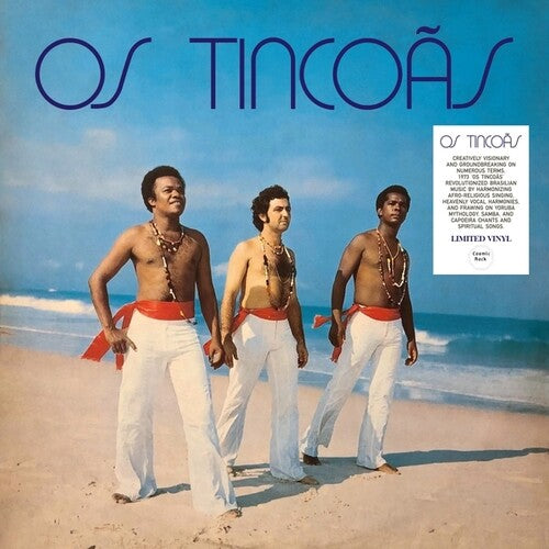 Os Tincoas- Os Tincoas - LP