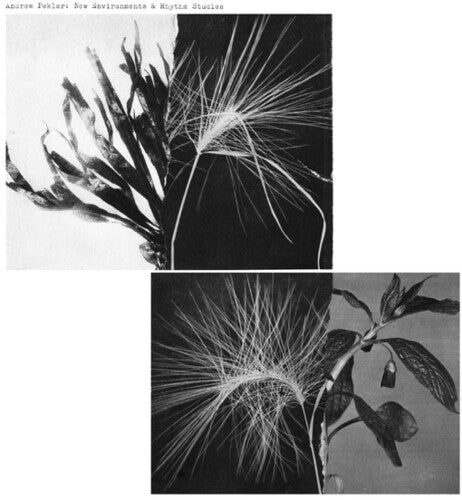 Andrew Pekler- New Environments And Rhythm Studies - LP