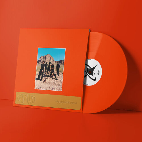 Leisure- Welcome to the Mood - LP