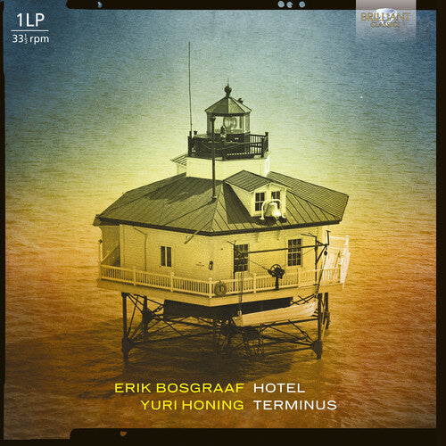 Erik Bosgraaf: Hotel Teminus [ LP ]