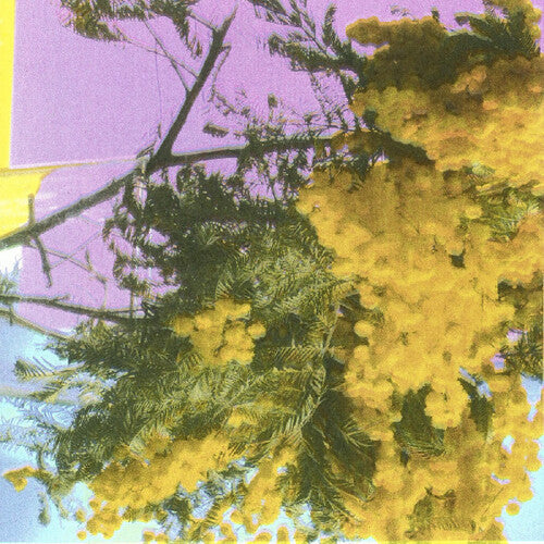 Four Tet- Into Dust (Still Falling) (Indie Exclusive Vinyl) - LP