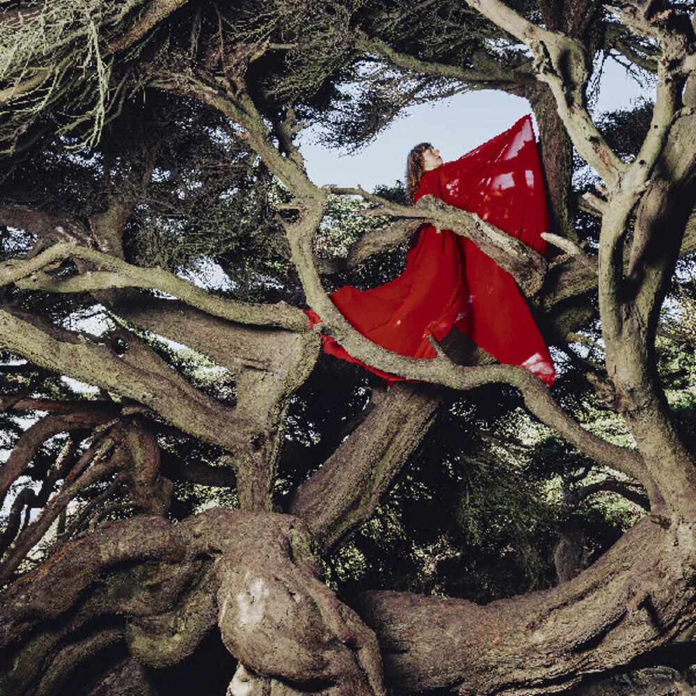 Hannah Frances- Nested In Tangles [Colored Vinyl] (Red) - LP