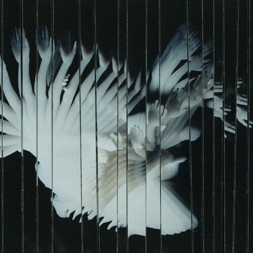 Scaler- Endlessly - LP