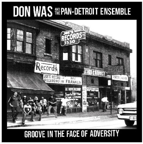 Don Was- Groove In The Face Of Adversity - LP