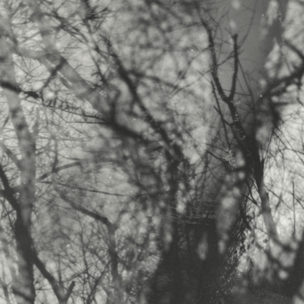 Grouper- Way Their Crept [Reissue] - LP
