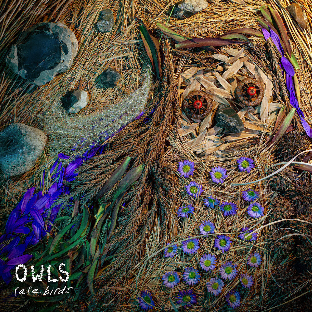 Owls- Rare Birds (Blk) (Uk) - LP