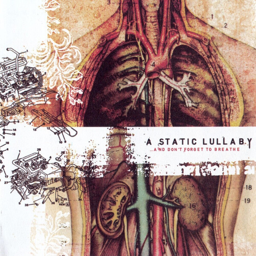 Static Lullalby- & Don't Forget To Breathe [Reissue] - LP