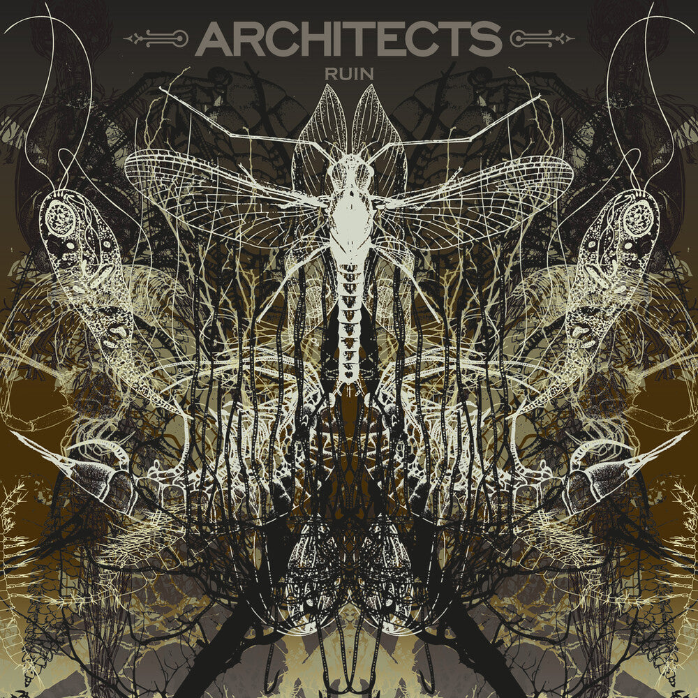 Architects- Ruin [Limited Edition] (Pict) - LP
