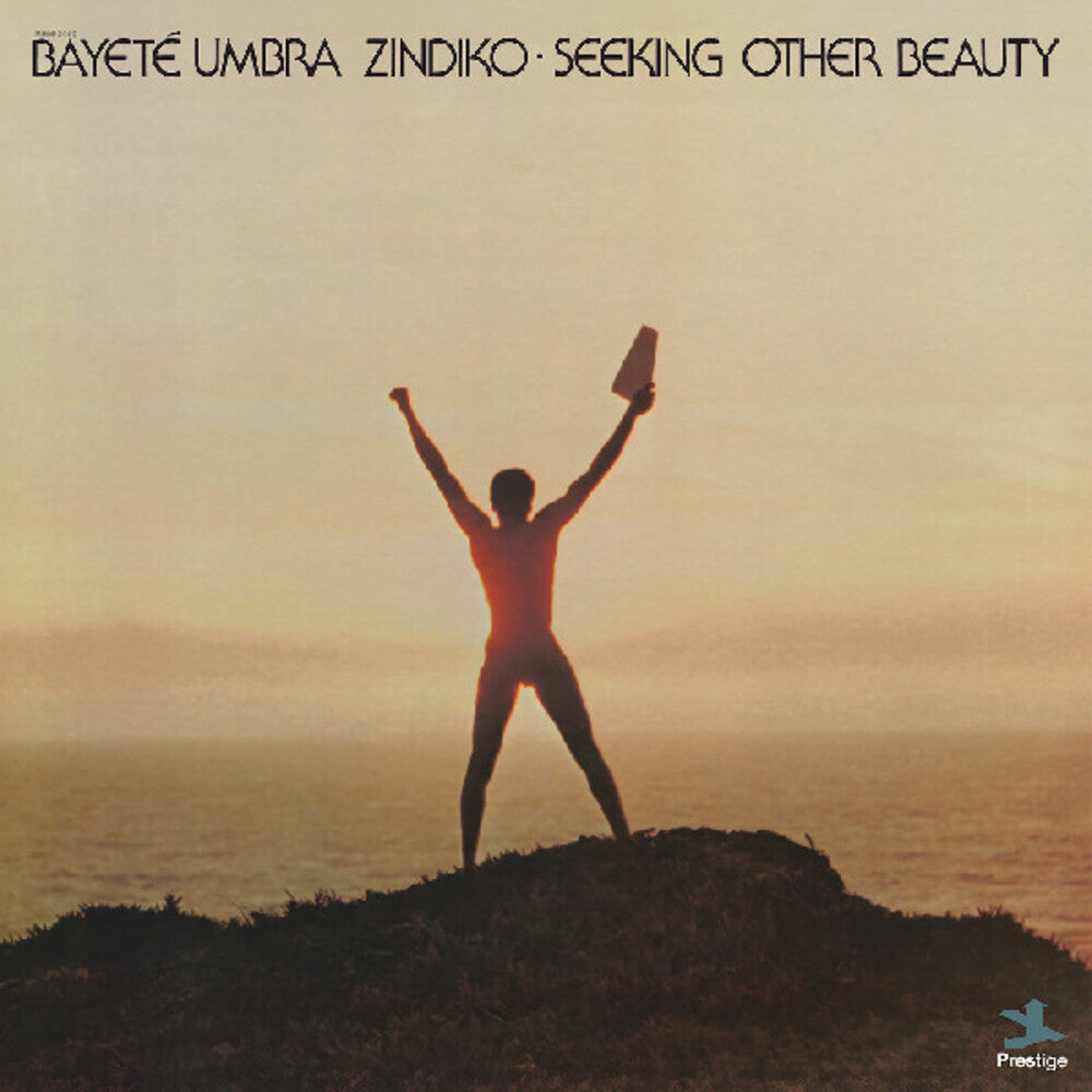 Umbra Bayete Zindiko- Seeking Other Beauty (All-Analog) - LP