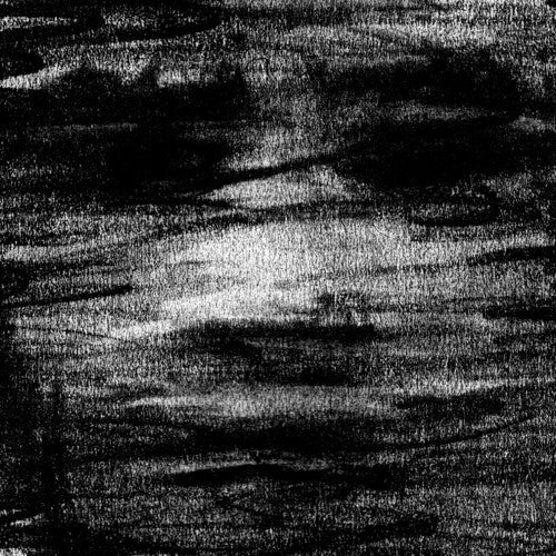 Born Erased: Birds Drink My Blood  [ CD ]