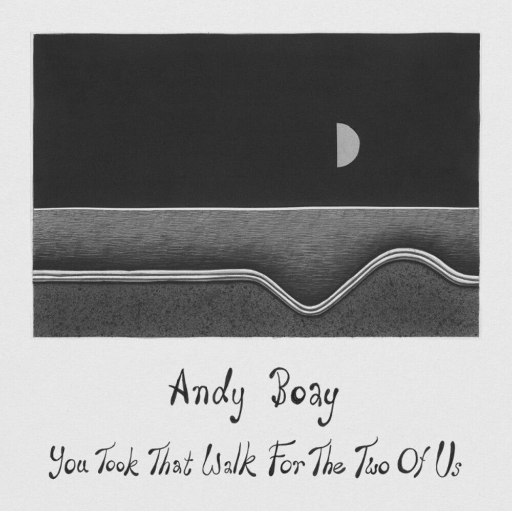Andy Boay- You Took That Walk For The Two Of Us - LP