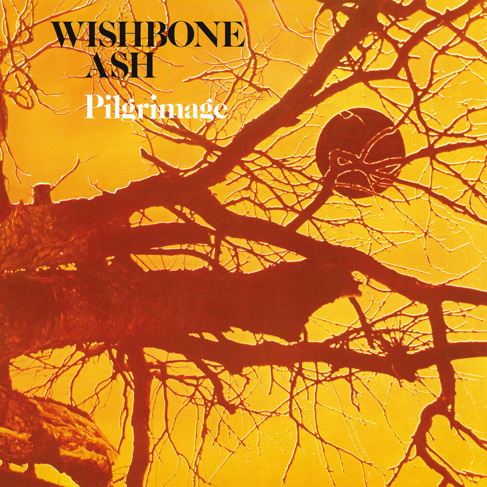 Wishbone Ash- Pilgrimage [180 Gram] (Uk) - LP