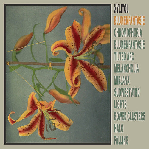 Xylitol: Blumenfantasie [ LP ]