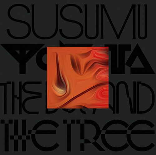 Susumu Yokota: The Boy And The Tree - Skintone [ LP ]