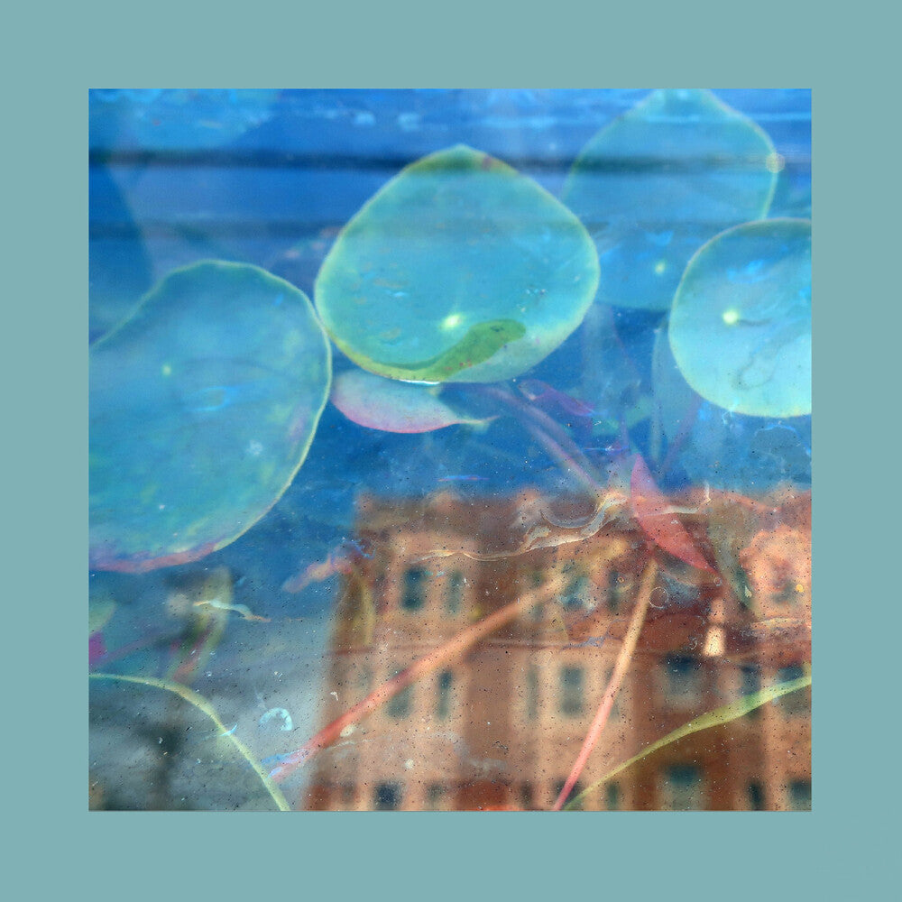 Reds Pinks & Purples- Acknowledge Kindness [Indie Exclusive] - Subconscious Window - LP