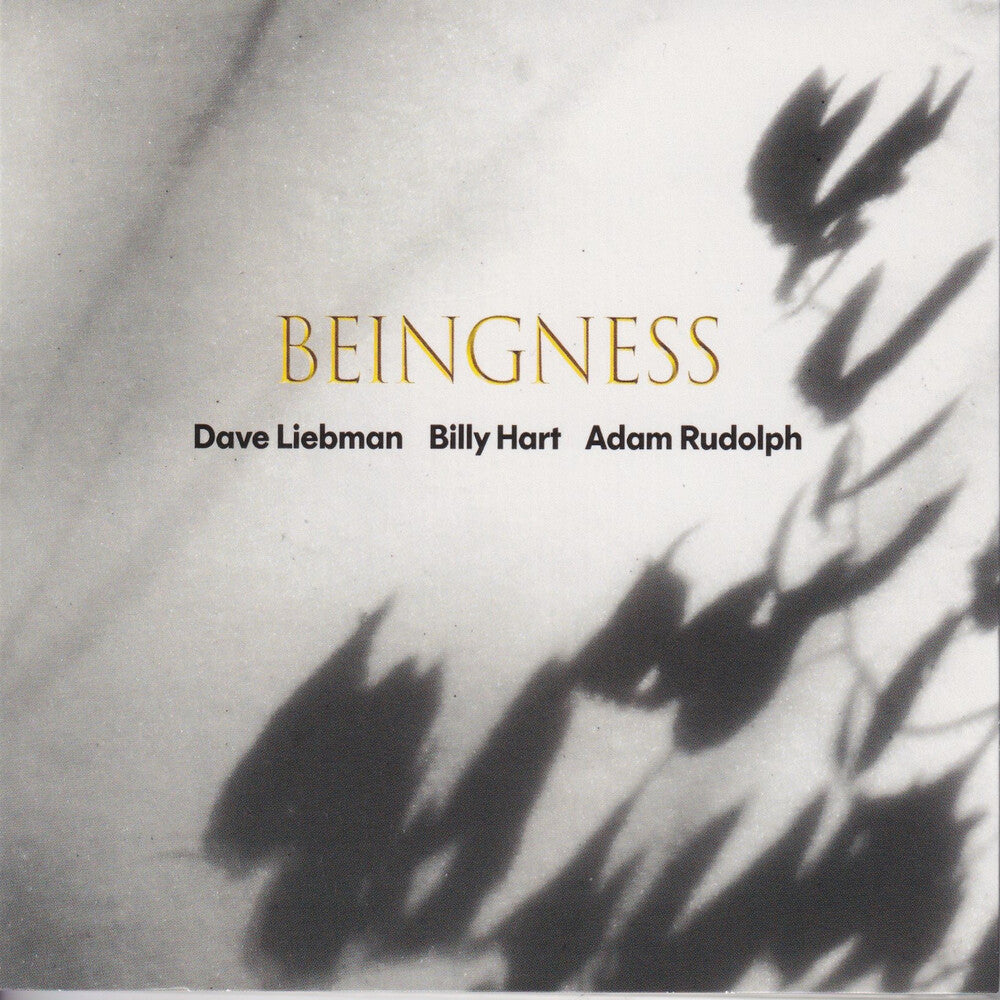 Dave Leibman / Hart,Billy / Rudolph,Adam- Beingness [Colored Vinyl] [Limited Edition] [180 Gram] - LP
