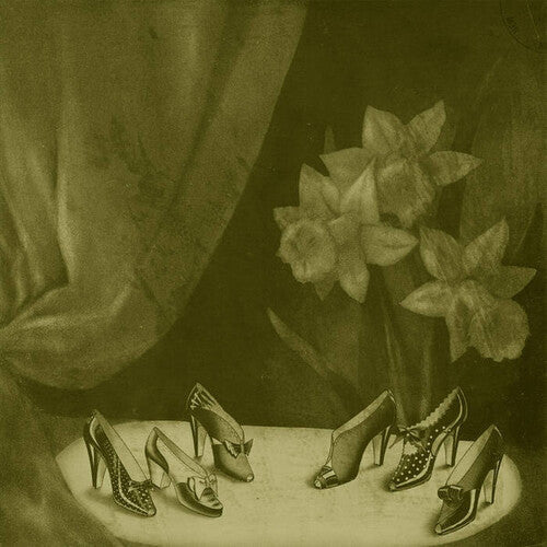 Alice Cohen: Into The Grey Salons [ LP ]