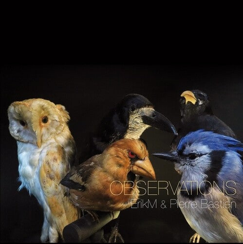 Erikm / Pierre Bastien: Observations [ LP ]
