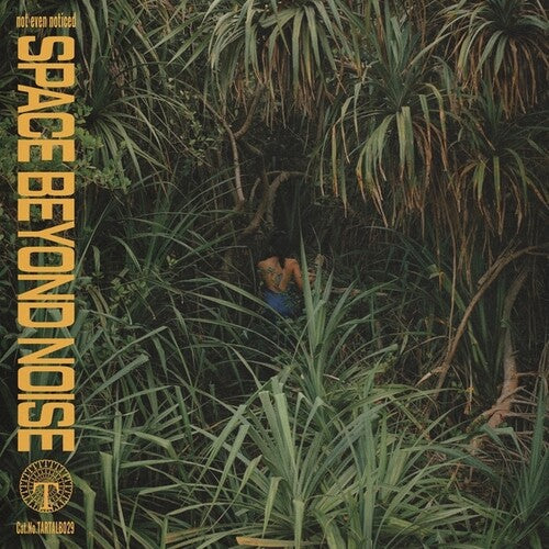 Not Even Noticed: Space Beyond Noise [ LP ]