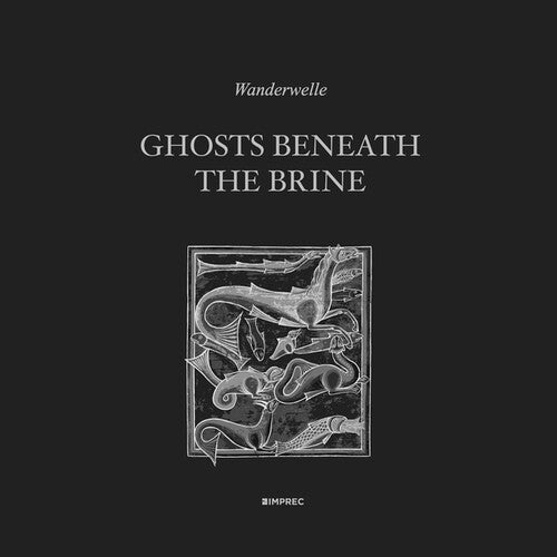 Wanderwelle: Ghosts Beneath The Brine [ LP ]