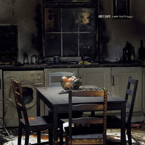 Joey Cape: A Good Year To Forget - VINYL