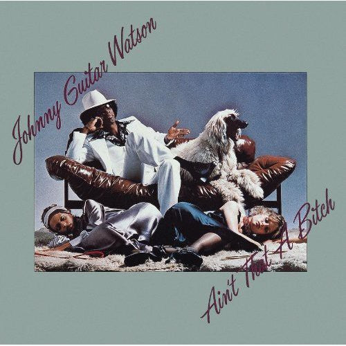 Johnny Watson Guitar: Ain't That a Bitch  [ CD ]