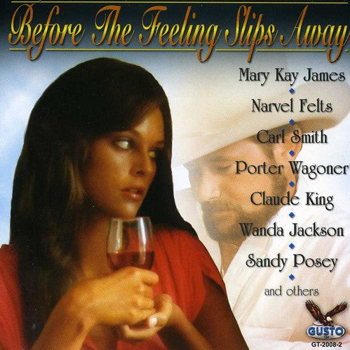 Various Artists: Country's Best: Before the Feeling Slips Away / Various  [ CD ]