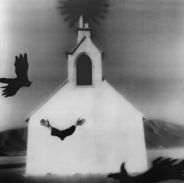 Laetitia Sadier & Storefront Church- Ink & Oil - LP