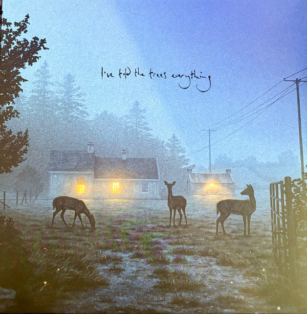 Dermot Kennedy- I've Told The Trees Everything - LP
